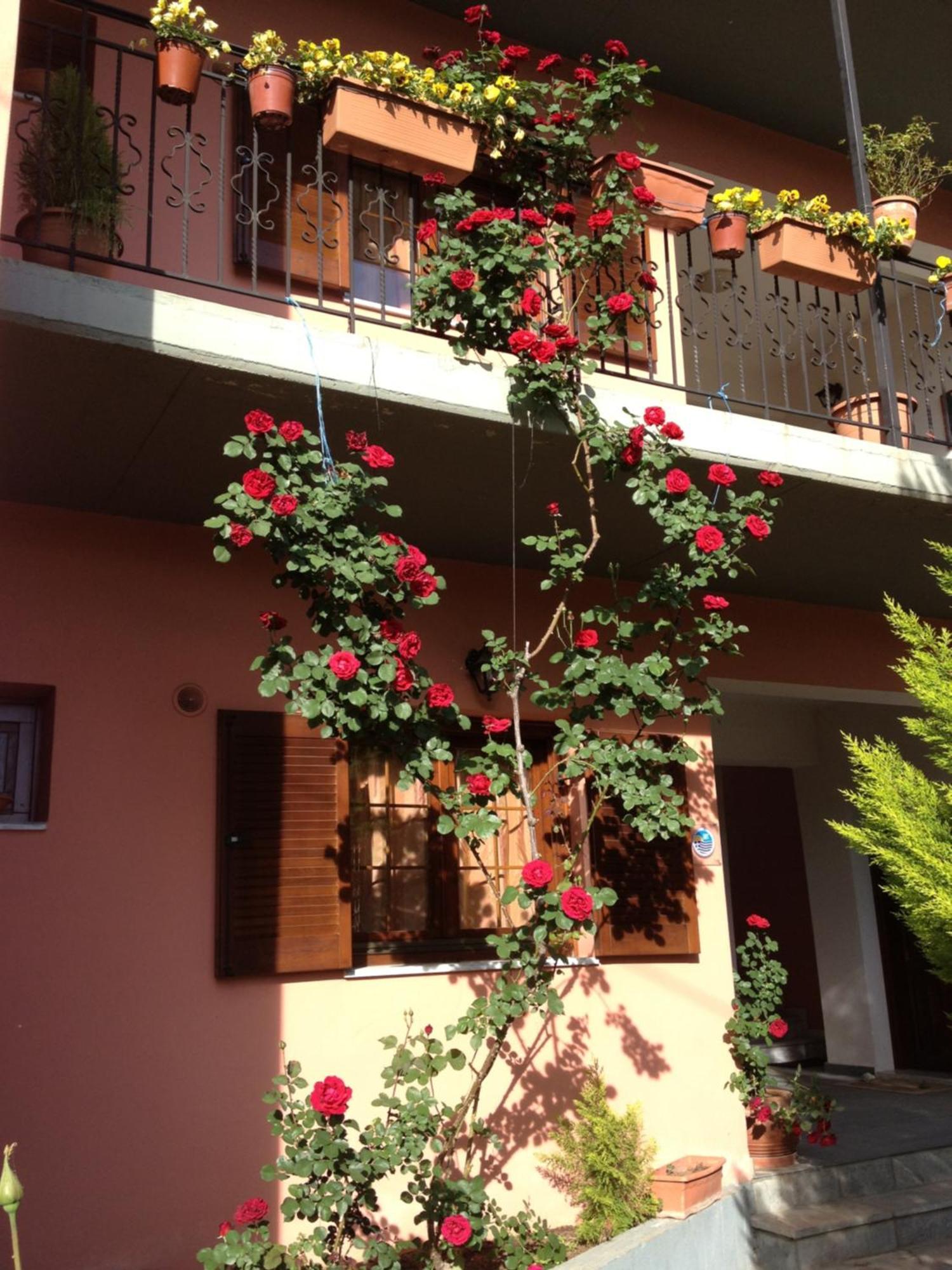 كونيتسا Artemis Apartments المظهر الخارجي الصورة