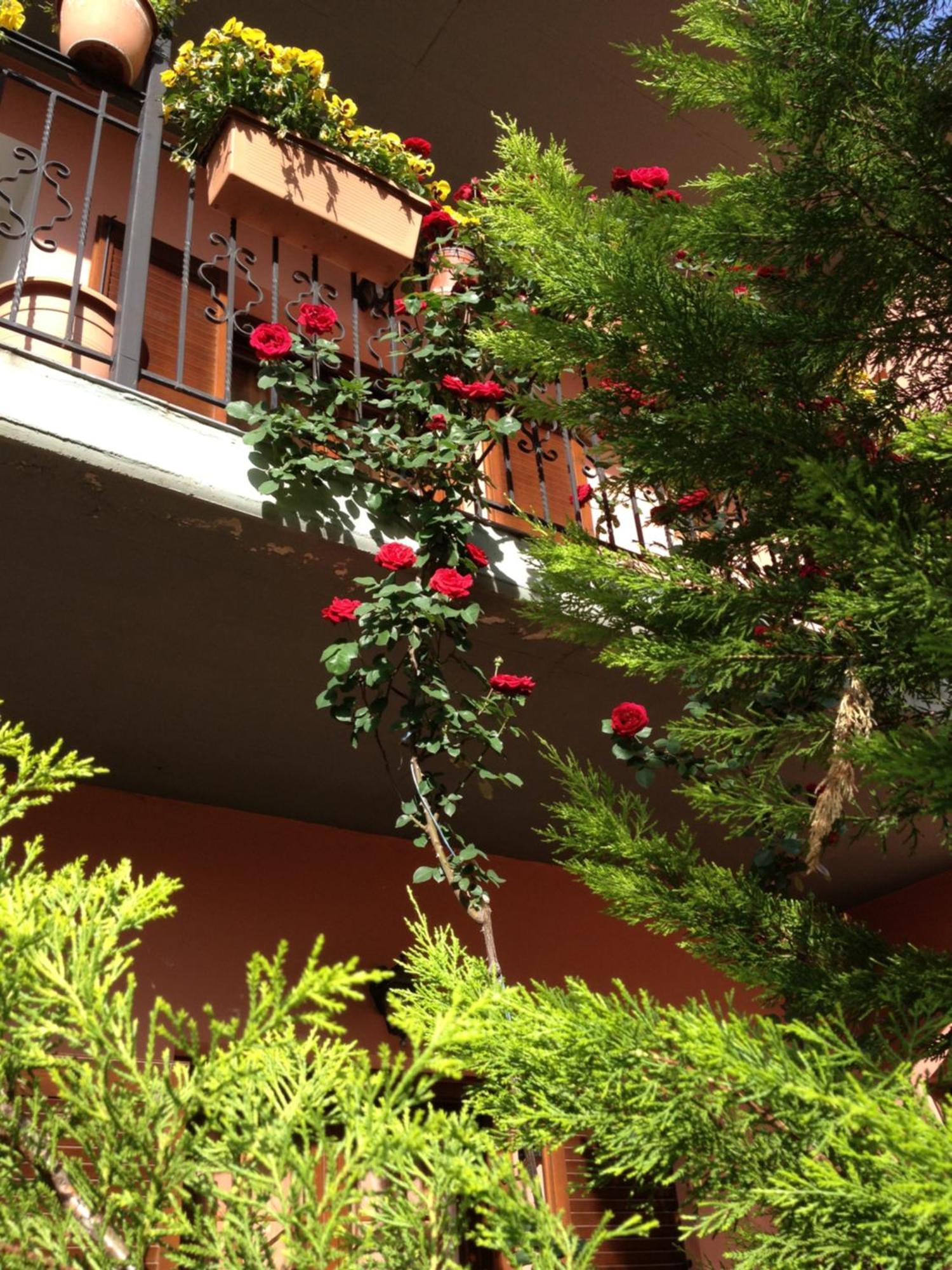 كونيتسا Artemis Apartments المظهر الخارجي الصورة