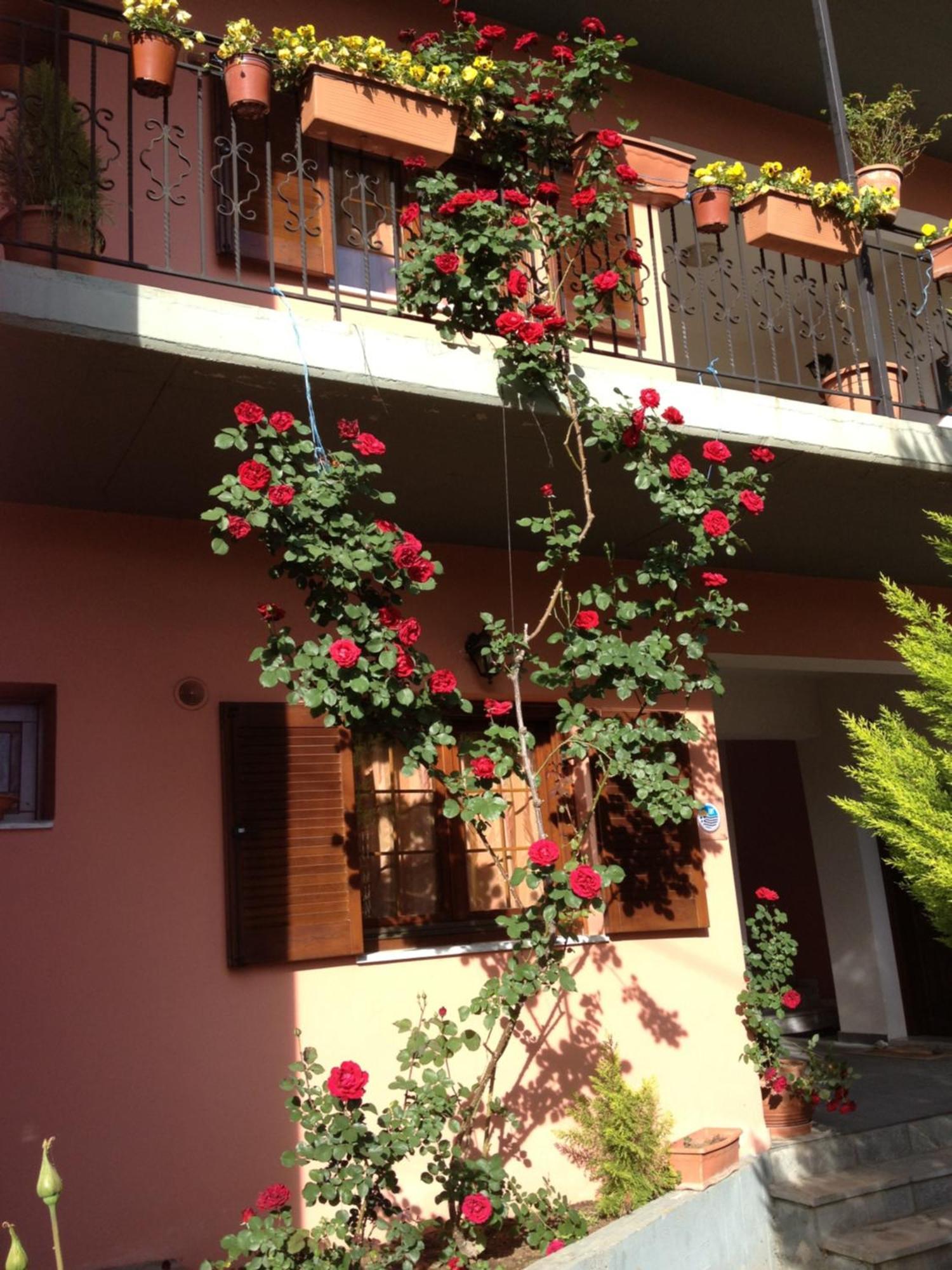 كونيتسا Artemis Apartments المظهر الخارجي الصورة