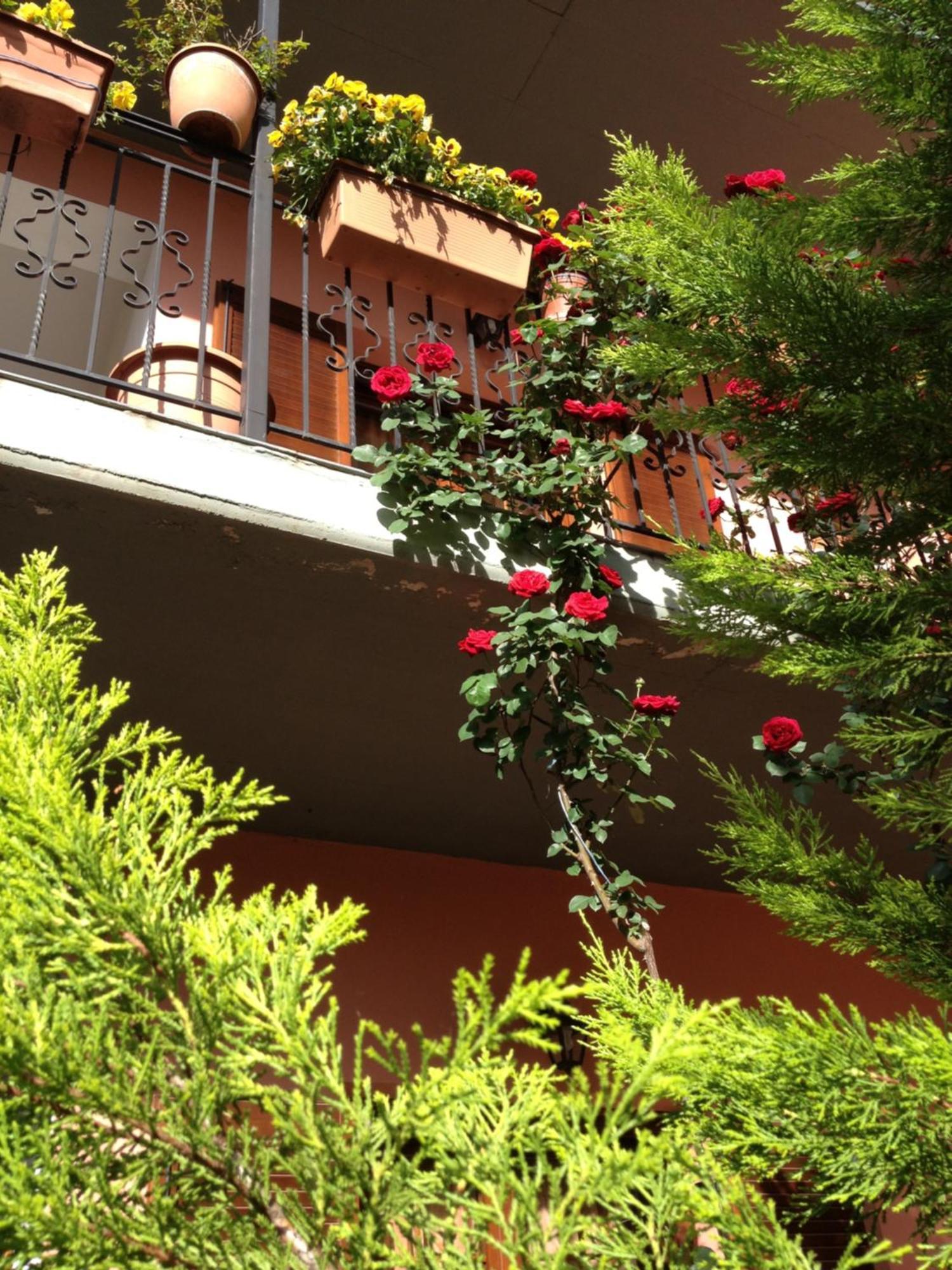 كونيتسا Artemis Apartments المظهر الخارجي الصورة